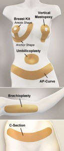 all_shapes_labels2 all shapes labels